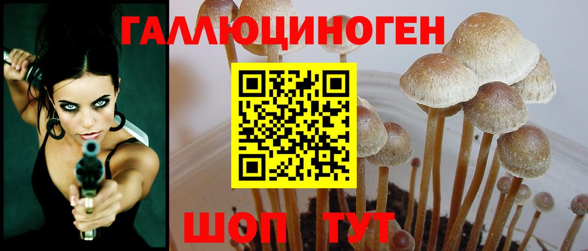 Галлюциногенные грибы мицелий  Вход с VPN  Электросталь 